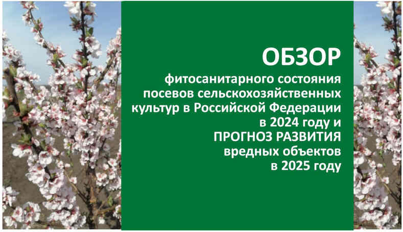 Фитосанитарный прогноз на 2025 год